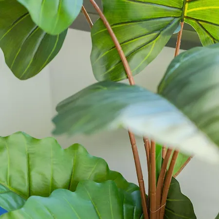 H&o Sea Breeze Boutique Klorakas