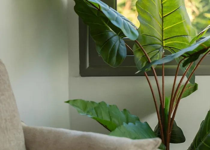 Daire H&o Sea Breeze Boutique