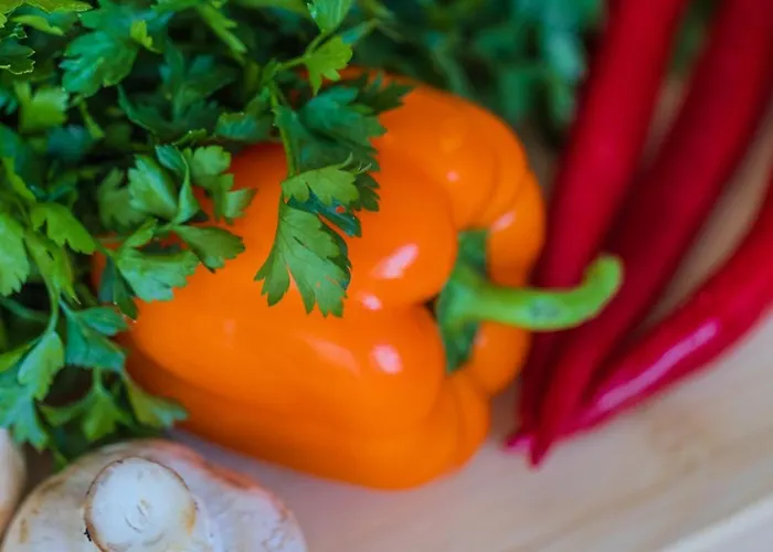 H&o Sea Breeze Boutique *